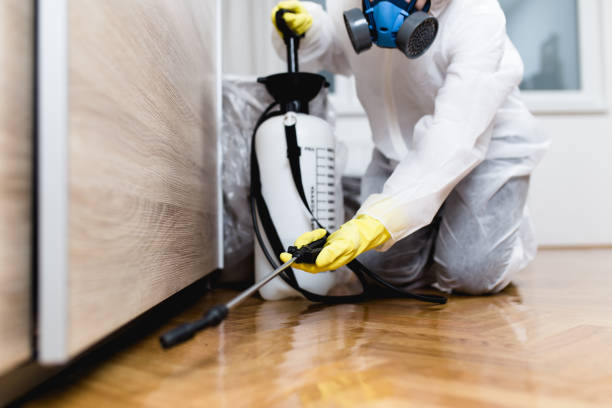 Best Pest Inspection Near Me  in Troy, NC