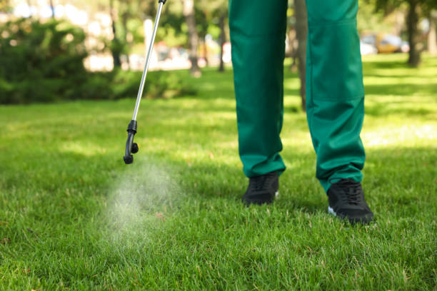 Best Termite Control Services  in Troy, NC
