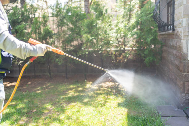 Best Spider Control Near Me  in Troy, NC