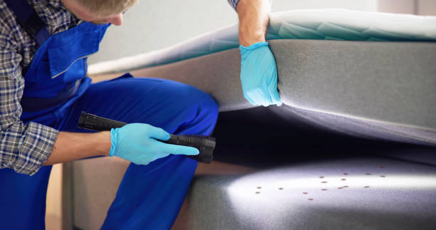Trusted Troy, NC Pest Control Experts