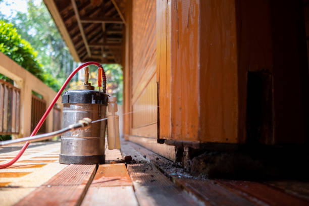 Best Best Pest Control Companies  in Troy, NC