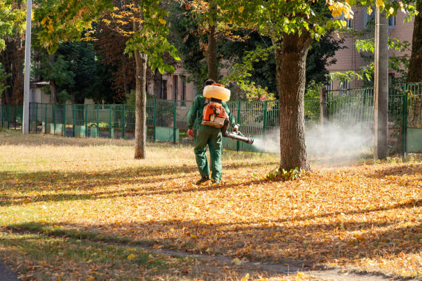 Reliable Troy, NC Pest Control Solutions